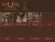 Tablet Screenshot of paloduroridingstables.com